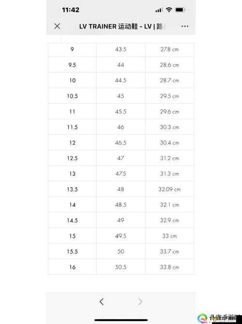 欧洲多尺码 35-38 时尚单品推荐：满足多样需求